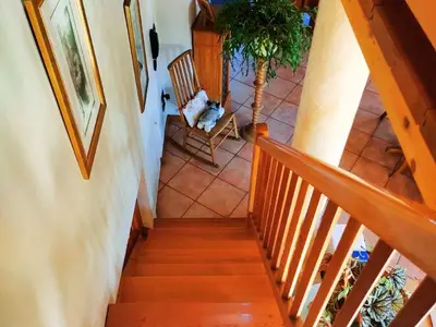 photo_2024-10-24 12.24.51