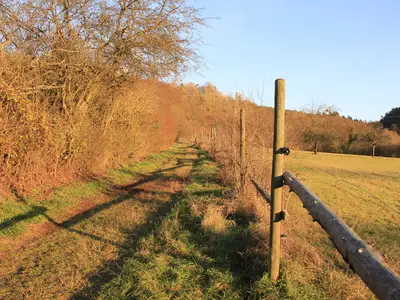 Ferienwohnung Klimek- Wanderweg direkt am Haus