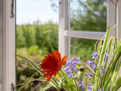Ferienwohnung für 2 Personen in Pellworm 1/8