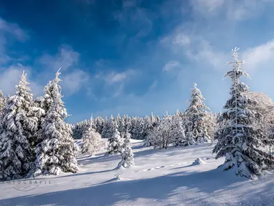 Ferienwohnung für 2 Personen (35 m²) 3/10