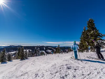 Ferienwohnung für 6 Personen (62 m²) 3/10