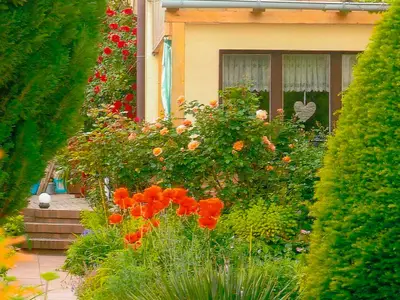 Ferienwohnung für 4 Personen (75 m²) in Malchow 10/10