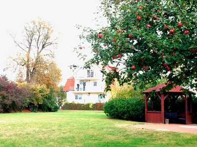 Ferienwohnung für 3 Personen (64 m²) in Göhren Lebbin 8/10