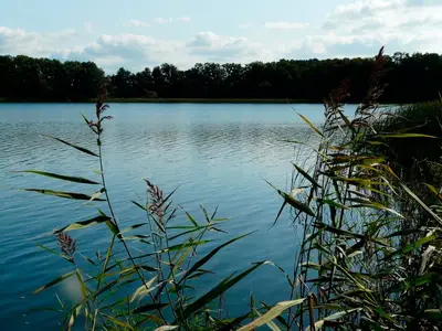 Ferienwohnung für 6 Personen (65 m²) in Krakow am See 10/10