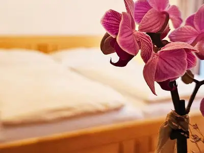 e58764_91779262c9c54b2bb2ac4a03cd608baf~mv2