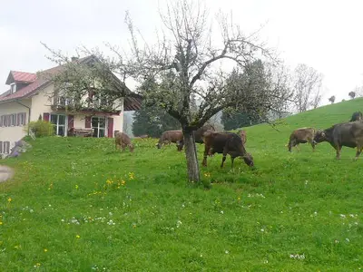 Hausansicht von der Ferne