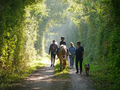 Ferienwohnung für 5 Personen (75 m²) in Grömitz 7/7