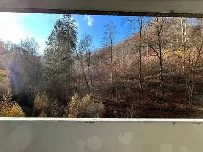 Ferienwohnung für 3 Personen (52 m²) in Bad Harzburg 9/10