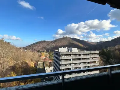 Ferienwohnung für 3 Personen (52 m²) in Bad Harzburg 7/10