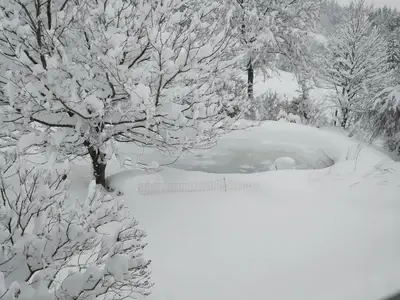 WhatsApp Image 2024-10-28 at 09.19.08