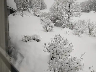 WhatsApp Image 2024-10-28 at 09.19.09