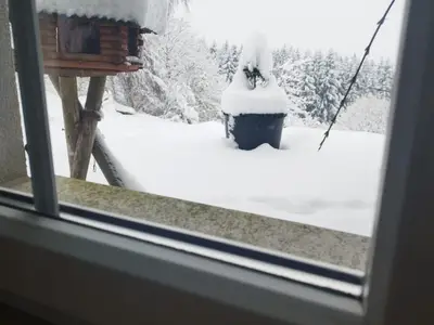 WhatsApp Image 2024-10-28 at 09.19.43