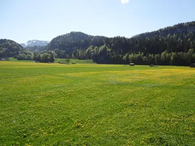Ferienwohnung für 7 Personen (100 m²) in Bezau 4/10