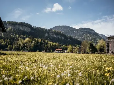 Ferienwohnung für 7 Personen (100 m²) in Bezau 9/10