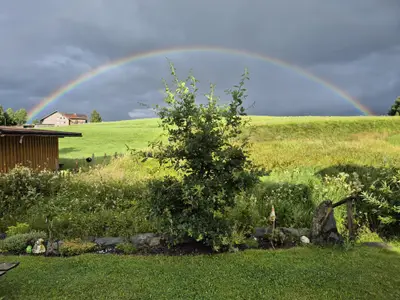 Aussicht Garten mit Regenbogen