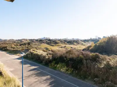 Aussicht vom Ferienhaus [Sommer]