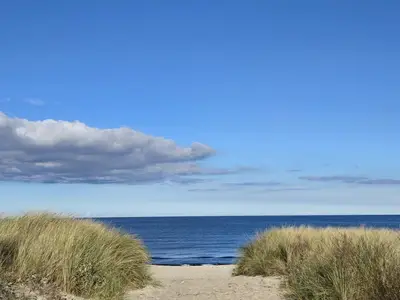 Ferienwohnung für 4 Personen (55 m²) in Kölpinsee (Usedom) 10/10