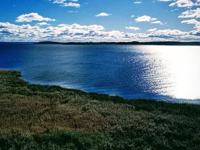 Ferienwohnung für 4 Personen (50 m²) in Sauzin 6/10