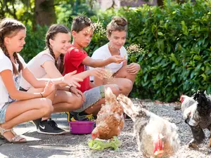 Ferienwohnung für 4 Personen (45 m²) in Grömitz