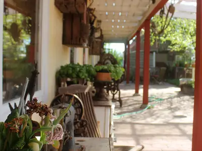 Ferienwohnung für 4 Personen (50 m²) in Fehmarn 9/10