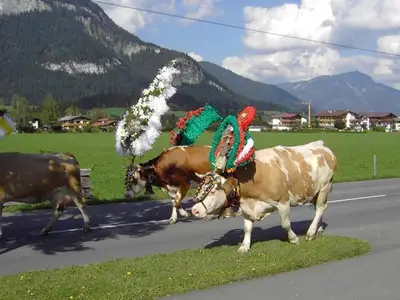 Herbststimmung Almabtrieb