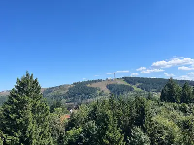 Ferienwohnung für 5 Personen (64 m²) in Goslar 1/10