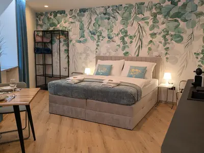 Ferienwohnung für 2 Personen (23 m²) in Linz 2/10