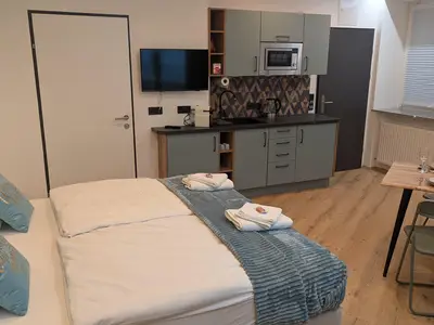 Ferienwohnung für 2 Personen (23 m²) in Linz 4/10