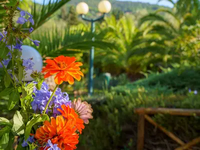 Ferienwohnung für 2 Personen (22 m²) in Castiglione della Pescaia 2/10