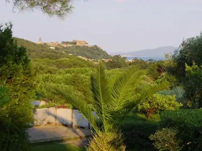 Ferienwohnung für 6 Personen (60 m²) in Castiglione della Pescaia 10/10