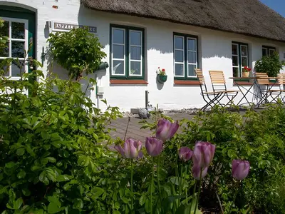 Ferienwohnung für 4 Personen in Pellworm 3/10