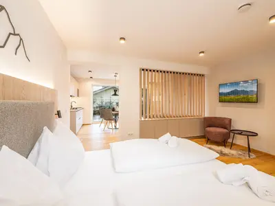 Apart-Erle-181-Top-2-myNests-Apartment-Schladming-