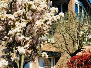 Ferienwohnung für 4 Personen in Raesfeld