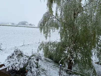 Ferienwohnung für 6 Personen (60 m²) in Aufseß 1/10