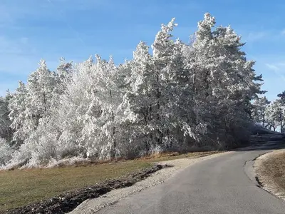 Ferienwohnung für 5 Personen (65 m²) in Scheßlitz 2/10