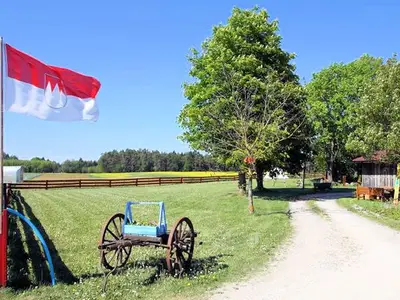 Ferienwohnung für 4 Personen (80 m²) in Waischenfeld 9/10