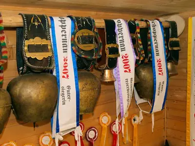 Ferienwohnung für 5 Personen (50 m²) in Schoppernau 8/10