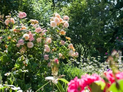 Ferienwohnung für 4 Personen in Pellworm 1/10