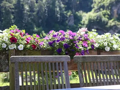 Ferienwohnung für 5 Personen (55 m²) in Waischenfeld 4/10