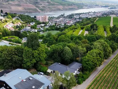 Ferienwohnung für 4 Personen (60 m²) in Weiler bei Bingen 4/10