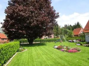 Ferienwohnung für 4 Personen (60 m²) in Wischhafen