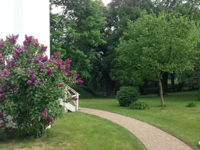 Ferienwohnung für 3 Personen (45 m²) in Sietow 8/10