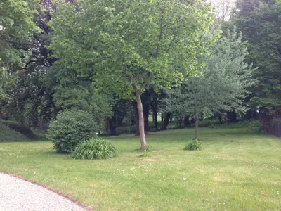 Ferienwohnung für 3 Personen (45 m²) in Sietow 10/10