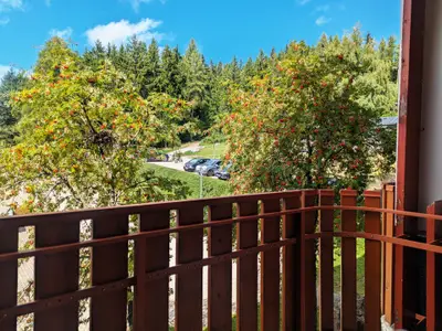 Ferienwohnung für 2 Personen (22 m²) in Schluchsee 3/10