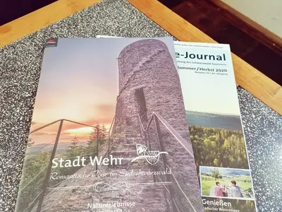 Ferienwohnung für 4 Personen (65 m²) in Wehr (Baden-Württemberg) 6/10