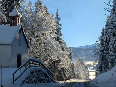 PXL_20251128_083448725