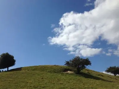 Ferienwohnung für 4 Personen (65 m²) in Groß Zicker 7/10