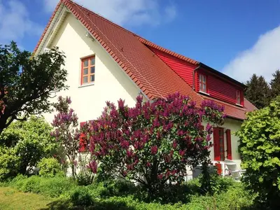 Ferienwohnung für 4 Personen (41 m²) in Dranske 2/10