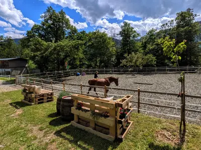 Honey bei der Arbeit