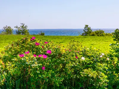 Ferienwohnung für 5 Personen (95 m²) in Boltenhagen (Ostseebad) 3/10